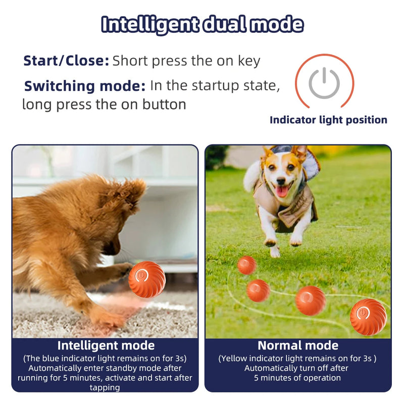 Smart Dog Ball Toy