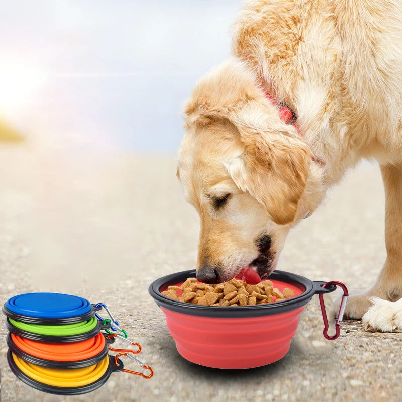 Pet Folding Silicone Bowl