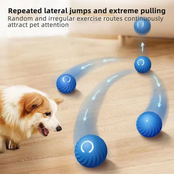 Smart Dog Ball Toy