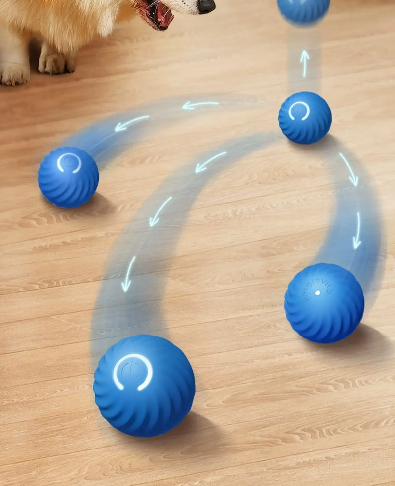 Smart Dog Ball Toy